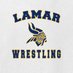 LHS Boys Wrestling (@v1keswrestling) Twitter profile photo