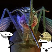 Combat Mosquito (ERA Enhanced)(@TasteyLibations) 's Twitter Profile Photo