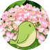 優花🍃(CD) (@vt4uv6) Twitter profile photo 優花🍃(CD) (@vt4uv6) Twitter profile photo
