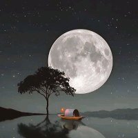 موووووووووون🌕 (@5ylus1brthwqbim) 's Twitter Profile