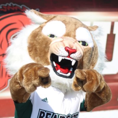 The Official Twitter account of Bobby the Bearcat. Tweeting straight from TitleTown! #OABAAB