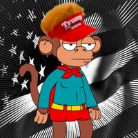 ⭐🦅🇺🇸 ❤Super Political Primate❤ 🇺🇸🦅⭐ (@jamyoumonkey) 's Twitter Profile