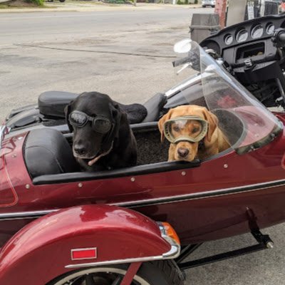 Fisheyed68's profile picture. I'm just here to have fun