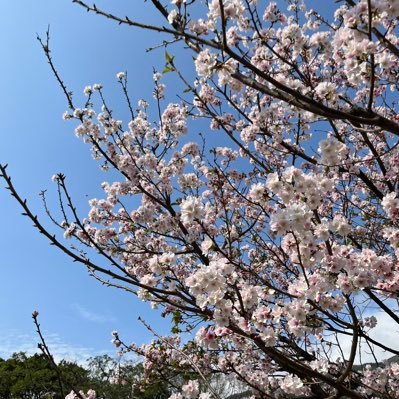 kong_stan's profile picture. 