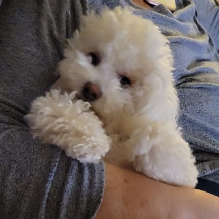 MicheleSlowins1's profile picture. 