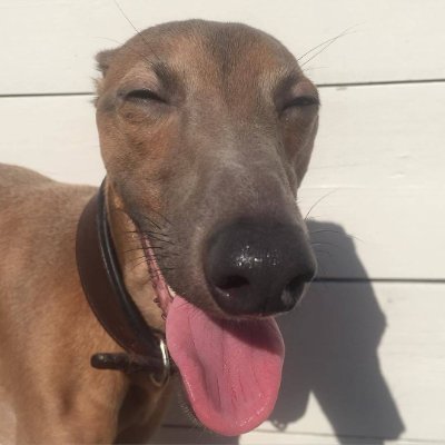 Evilboyckf's profile picture. animator，storyboard artist.