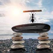 Colleen72591817's profile picture. 