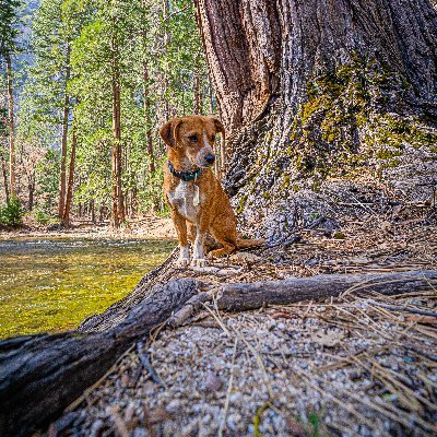 LeoSJr84's profile picture. Research lifes great unknowns.