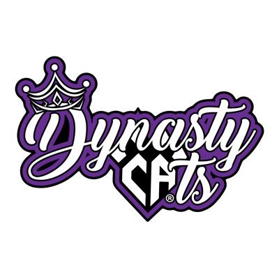 Medium Junior 4, Charlotte, NC. Follow us on Instagram ca_dynastycats