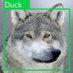 Fur Con Ai (@furconai) Twitter profile photo Fur Con Ai (@furconai) Twitter profile photo
