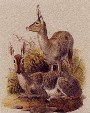 ECGMA1's profile picture. 