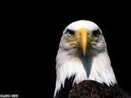 juananto81's profile picture. Sex is my hobby