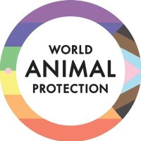 World Animal Protection Thailand(@WAP_Thailand) 's Twitter Profile Photo