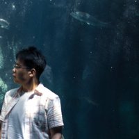 Yibin Fan (@yibinfan_com) 's Twitter Profile