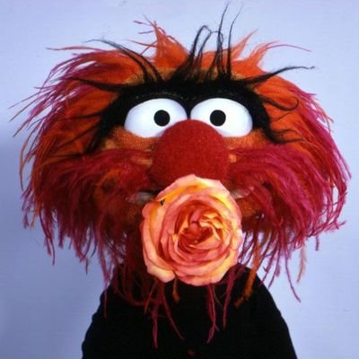 _calonmaba12's profile picture. 