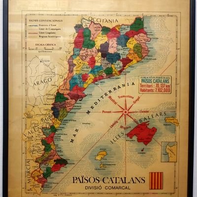 potsercdr's profile picture. #NOVULLAQUESTPRESIDENT

Like o Retuit no vol dir necessàriament estar d'acord.