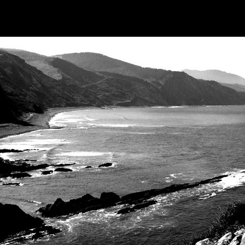 grajalico's profile picture. 