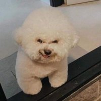 Aguss (@aguss1ss) 's Twitter Profile