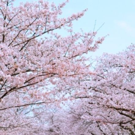 大阪針中野で家庭教師やってます。
マナリンク様でオンライン家庭教師もやってます。
指導教科:小、中学生の全5教科。
平均点以下のお子様大歓迎。
対面では難関中学受験高校も承っております。