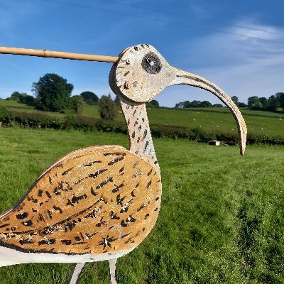 Bristol based birder