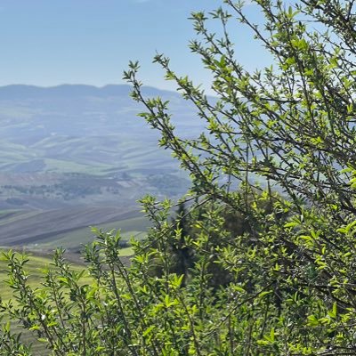 balkissboughdir's profile picture. 