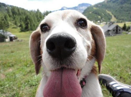 michy011's profile picture. 