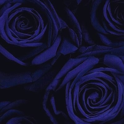 MykolaDo13's profile picture. 