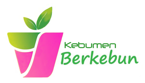 KebumenBerkebun's profile picture. menghijaukan kebumen yang diawali dengan menghijaukan kampung wero sebagai percontohan permukiman hijau melaui kegiatan urban farming