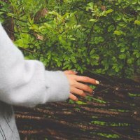yas2 (@g0lbarg8) 's Twitter Profile