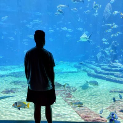 zretryn's profile picture. 