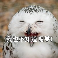 蕭貪少女塔娜 (@tanaduin) 's Twitter Profile