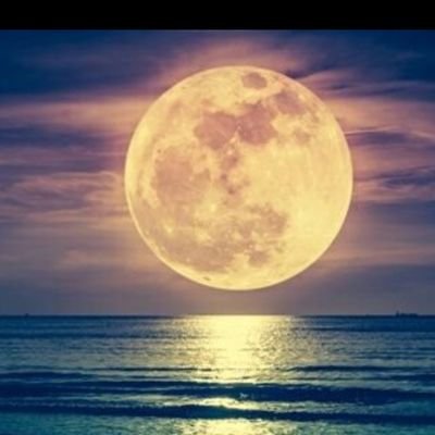 harukana_aosora's profile picture. 🍏