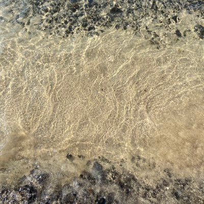 Johnnnnn71749's profile picture. new acc