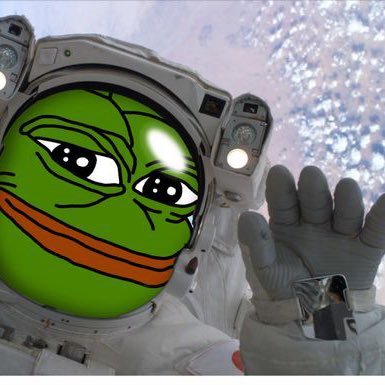 pepevolution's profile picture. 🐸