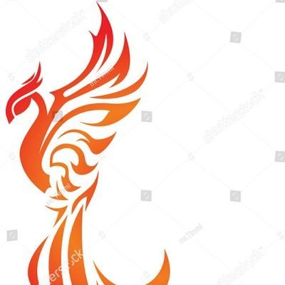 Phoenix🐦さんのプロフィール画像