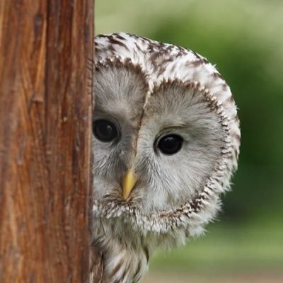 JBee111018's profile picture. 