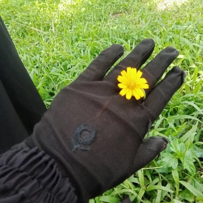 PrinceJafo49160's profile picture. 