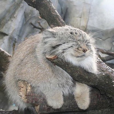 ryoto_unknown's profile picture. モチベが行ったり来たりのよくわかんない人。好きな物：ゲームとかパチンコとか。最近遊んでる物：モンハンSB、APEX、雀魂、etc。