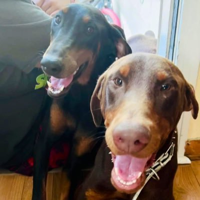 sunshine78207's profile picture. La vida se divide en 4 partes: amar❤,sufrir💔,luchar💪 y vencer✊.El que ama, sufre; el que sufre, lucha; y el que lucha, vence.💗