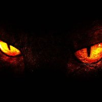 Yungbob (@yungbobx) 's Twitter Profile