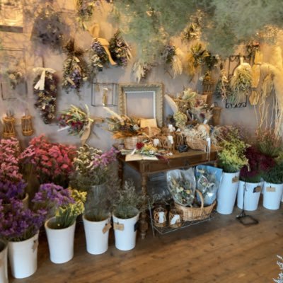 toshi0031s's profile picture. 🐴ぼちぼち、一口馬主やってます🐴独立して仕事に没頭中〜  庭仕事やら片付けやらやら🌳