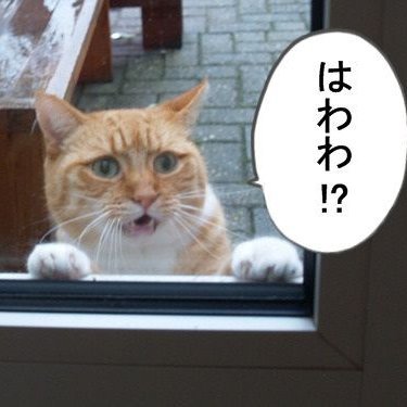 Jackalさんのプロフィール画像
