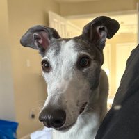 J H (@smoke_127c) 's Twitter Profile