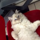 Barbara dini - @DiniBarbara - Twitter