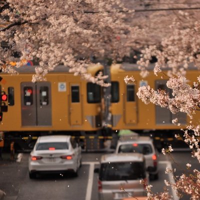 鉄道/野球
釜を追いかける中学生一眼鉄
呼び方は「ブーちゃん」でも「ねりたみ」でもなんでも
タメ口⭕️
NikonD5000
フォロバします
愛車は183系、185系、ef81、ef64、西武2000系幕車
空想鉄道では関東のブーちゃんとして活動。
絡みたくさん増やしたいんでどんどん絡んできてください！