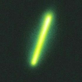 993_ank's profile picture. be mindful of your thoughts