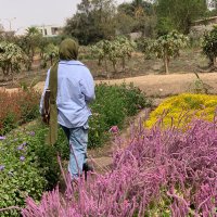 Hoda (@hoda57149208) Twitter profile photo