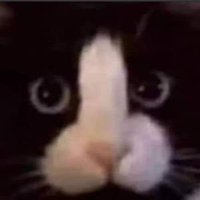 Racun Dark Shopee (@kucingdss) 's Twitter Profile Photo Racun Dark Shopee (@kucingdss) 's Twitter Profile Photo