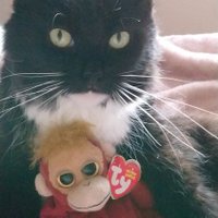 rowena mezzetti (@rowy75) 's Twitter Profile