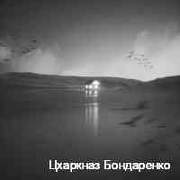 bbondarenkocha's profile picture. xoxo